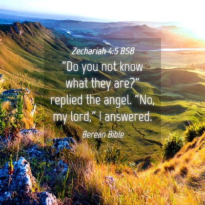 Picture 04 - Zechariah 4:5 BSB - “Do you not know what they are?” replied the - Bible Verse Picture