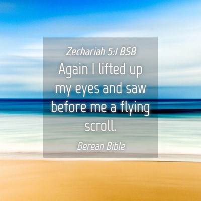 Picture 04 - Zechariah 5:1 BSB - Again I lifted up my eyes and saw before me a - Bible Verse Picture