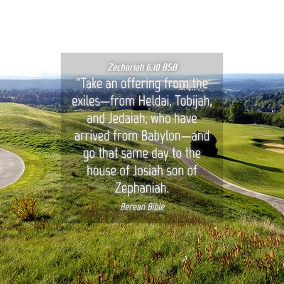 Picture 04 - Zechariah 6:10 BSB - “Take an offering from the exiles—from - Bible Verse Picture