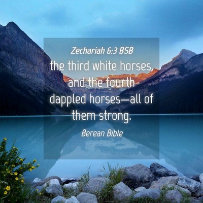 Picture 04 - Zechariah 6:3 BSB - the third white horses, and the fourth dappled - Bible Verse Picture