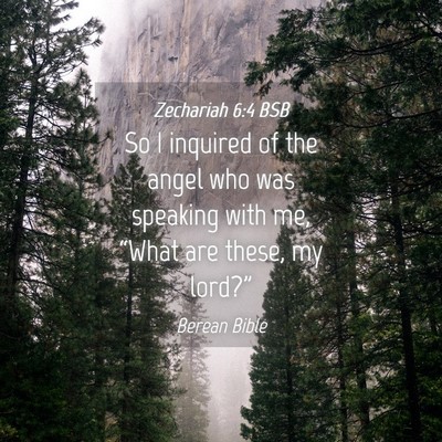 Picture 04 - Zechariah 6:4 BSB - So I inquired of the angel who was speaking with - Bible Verse Picture