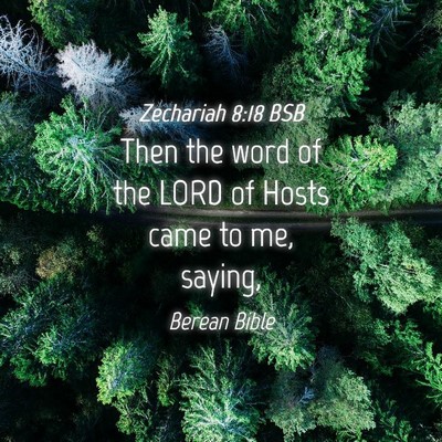 Picture 04 - Zechariah 8:18 BSB - Then the word of the LORD of Hosts came to me, - Bible Verse Picture