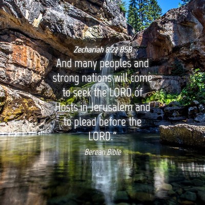 Picture 04 - Zechariah 8:22 BSB - And many peoples and strong nations will come to - Bible Verse Picture