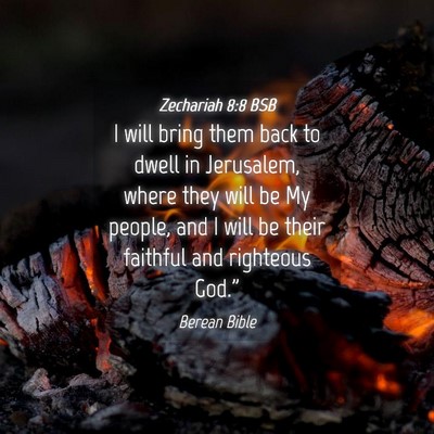 Picture 04 - Zechariah 8:8 BSB - I will bring them back to dwell in Jerusalem, - Bible Verse Picture