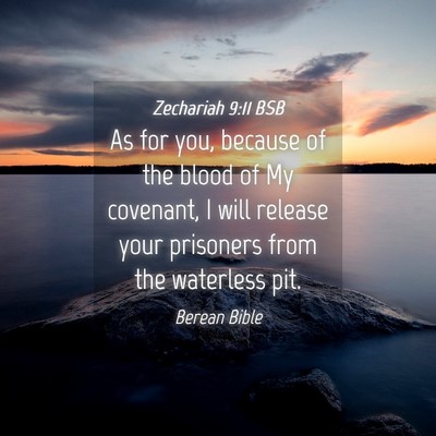 Picture 04 - Zechariah 9:11 BSB - As for you, because of the blood of My covenant, - Bible Verse Picture
