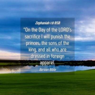Picture 04 - Zephaniah 1:8 BSB - “On the Day of the LORD’s sacrifice I will - Bible Verse Picture