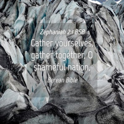 Picture 04 - Zephaniah 2:1 BSB - Gather yourselves, gather together, O shameful - Bible Verse Picture
