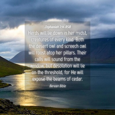 Picture 04 - Zephaniah 2:14 BSB - Herds will lie down in her midst, creatures of - Bible Verse Picture