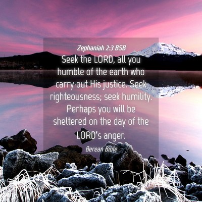 Picture 04 - Zephaniah 2:3 BSB - Seek the LORD, all you humble of the earth who - Bible Verse Picture