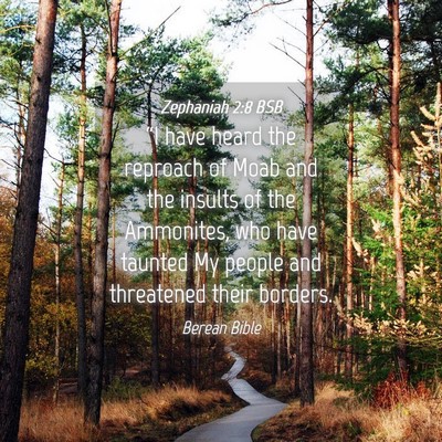Picture 04 - Zephaniah 2:8 BSB - “I have heard the reproach of Moab and the - Bible Verse Picture