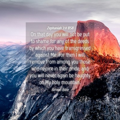 Picture 04 - Zephaniah 3:11 BSB - On that day you will not be put to shame for any - Bible Verse Picture