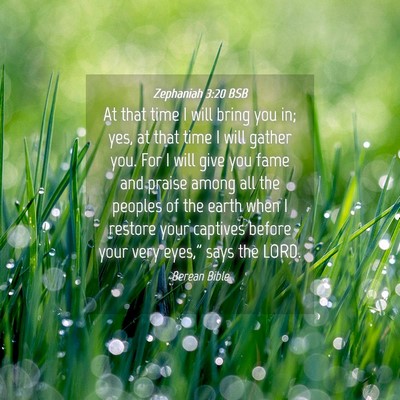 Picture 04 - Zephaniah 3:20 BSB - At that time I will bring you in; yes, at that - Bible Verse Picture