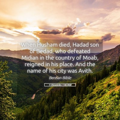 Picture 05 - 1 Chronicles 1:46 BSB - When Husham died, Hadad son of Bedad, who - Bible Verse Picture