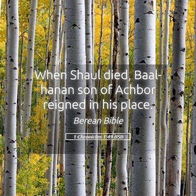 Picture 05 - 1 Chronicles 1:49 BSB - When Shaul died, Baal-hanan son of Achbor reigned - Bible Verse Picture