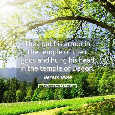 Picture 05 - 1 Chronicles 10:10 BSB - They put his armor in the temple of their gods - Bible Verse Picture