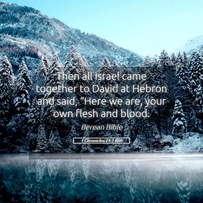 Picture 05 - 1 Chronicles 11:1 BSB - Then all Israel came together to David at Hebron - Bible Verse Picture