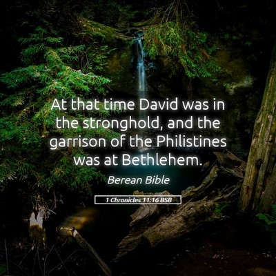 Picture 05 - 1 Chronicles 11:16 BSB - At that time David was in the stronghold, and the - Bible Verse Picture