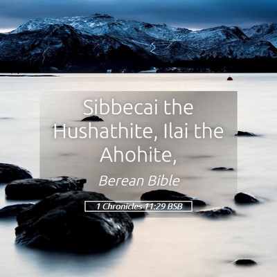 Picture 05 - 1 Chronicles 11:29 BSB - Sibbecai the Hushathite, Ilai the - Bible Verse Picture