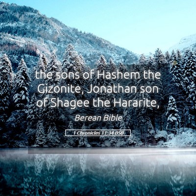 Picture 05 - 1 Chronicles 11:34 BSB - the sons of Hashem the Gizonite, Jonathan son of - Bible Verse Picture