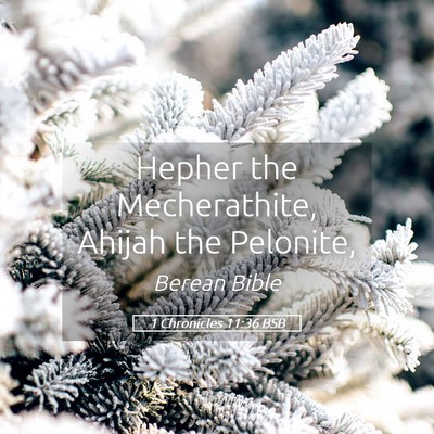 Picture 05 - 1 Chronicles 11:36 BSB - Hepher the Mecherathite, Ahijah the - Bible Verse Picture