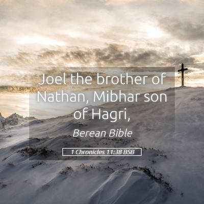 Picture 05 - 1 Chronicles 11:38 BSB - Joel the brother of Nathan, Mibhar son of - Bible Verse Picture