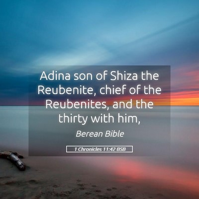 Picture 05 - 1 Chronicles 11:42 BSB - Adina son of Shiza the Reubenite, chief of the - Bible Verse Picture