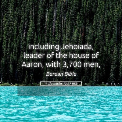 Picture 05 - 1 Chronicles 12:27 BSB - including Jehoiada, leader of the house of Aaron, - Bible Verse Picture