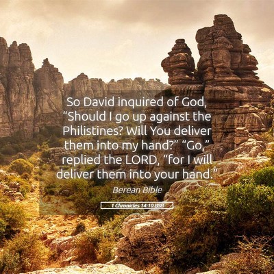 Picture 05 - 1 Chronicles 14:10 BSB - So David inquired of God, “Should I go up - Bible Verse Picture