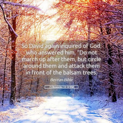 Picture 05 - 1 Chronicles 14:14 BSB - So David again inquired of God, who answered him, - Bible Verse Picture