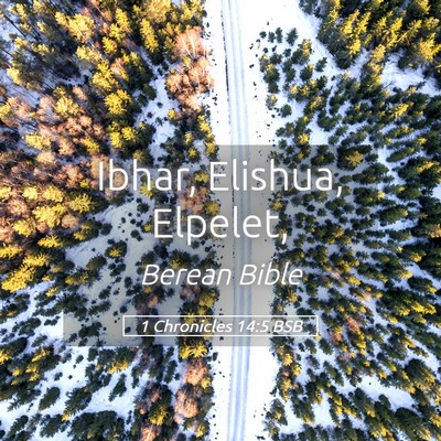 Picture 05 - 1 Chronicles 14:5 BSB - Ibhar, Elishua, - Bible Verse Picture