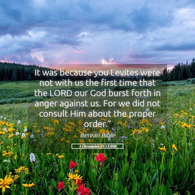 Picture 05 - 1 Chronicles 15:13 BSB - It was because you Levites were not with us the - Bible Verse Picture
