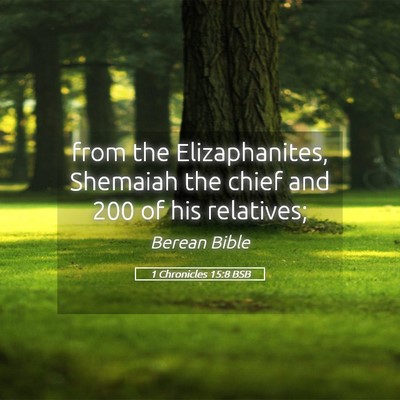 Picture 05 - 1 Chronicles 15:8 BSB - from the Elizaphanites, Shemaiah the chief and - Bible Verse Picture