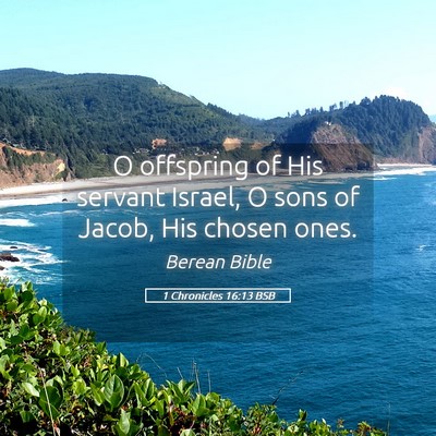 Picture 05 - 1 Chronicles 16:13 BSB - O offspring of His servant Israel, O sons of - Bible Verse Picture