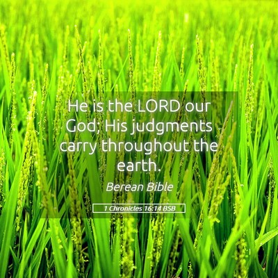 Picture 05 - 1 Chronicles 16:14 BSB - He is the LORD our God; His judgments carry - Bible Verse Picture
