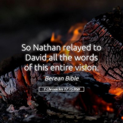 Picture 05 - 1 Chronicles 17:15 BSB - So Nathan relayed to David all the words of this - Bible Verse Picture