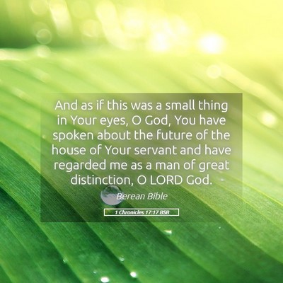 Picture 05 - 1 Chronicles 17:17 BSB - And as if this was a small thing in Your eyes, O - Bible Verse Picture