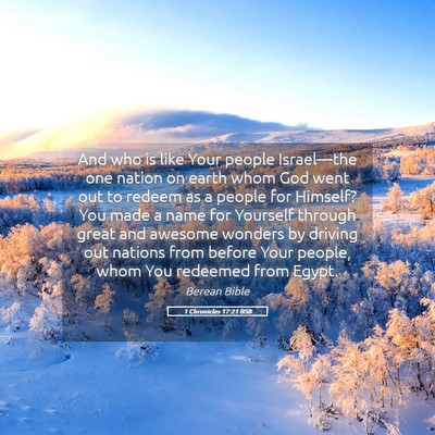 Picture 05 - 1 Chronicles 17:21 BSB - And who is like Your people Israel—the one - Bible Verse Picture