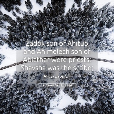 Picture 05 - 1 Chronicles 18:16 BSB - Zadok son of Ahitub and Ahimelech son of Abiathar - Bible Verse Picture