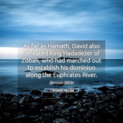 Picture 05 - 1 Chronicles 18:3 BSB - As far as Hamath, David also defeated King - Bible Verse Picture