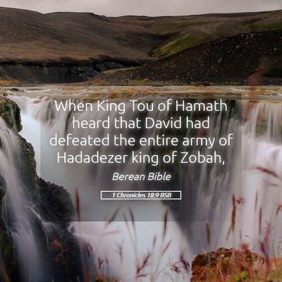 Picture 05 - 1 Chronicles 18:9 BSB - When King Tou of Hamath heard that David had - Bible Verse Picture