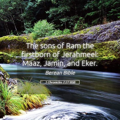 Picture 05 - 1 Chronicles 2:27 BSB - The sons of Ram the firstborn of Jerahmeel: Maaz, - Bible Verse Picture
