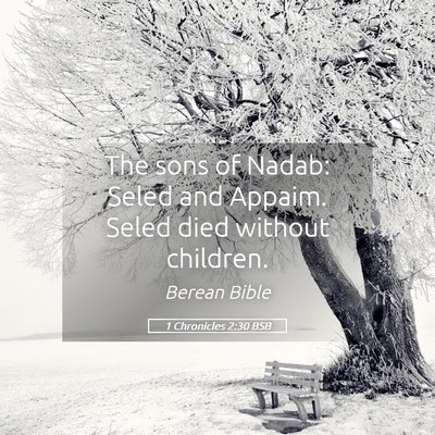 Picture 05 - 1 Chronicles 2:30 BSB - The sons of Nadab: Seled and Appaim. Seled died - Bible Verse Picture
