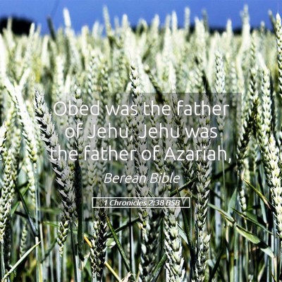 Picture 05 - 1 Chronicles 2:38 BSB - Obed was the father of Jehu, Jehu was the father - Bible Verse Picture