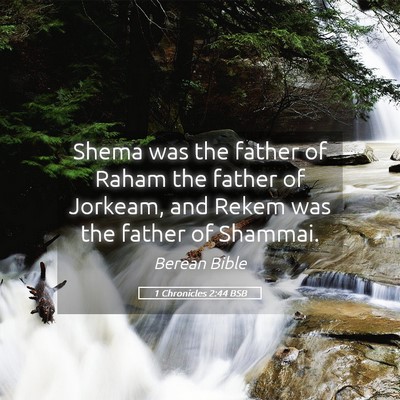 Picture 05 - 1 Chronicles 2:44 BSB - Shema was the father of Raham the father of - Bible Verse Picture