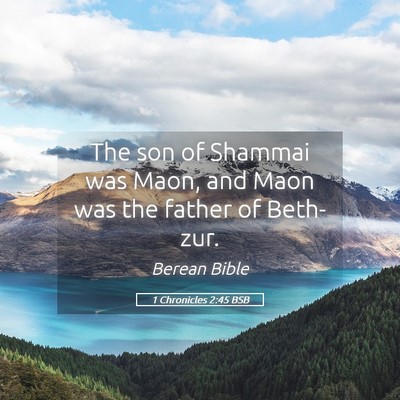 Picture 05 - 1 Chronicles 2:45 BSB - The son of Shammai was Maon, and Maon was the - Bible Verse Picture