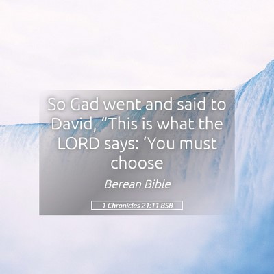 Picture 05 - 1 Chronicles 21:11 BSB - So Gad went and said to David, “This is what - Bible Verse Picture