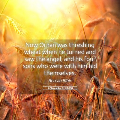 Picture 05 - 1 Chronicles 21:20 BSB - Now Ornan was threshing wheat when he turned and - Bible Verse Picture