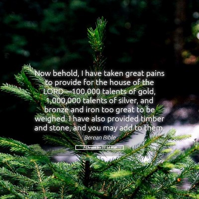 Picture 05 - 1 Chronicles 22:14 BSB - Now behold, I have taken great pains to provide - Bible Verse Picture