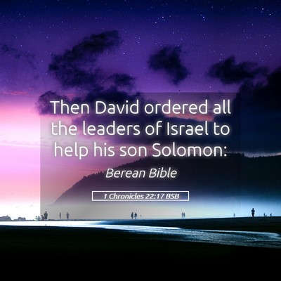 Picture 05 - 1 Chronicles 22:17 BSB - Then David ordered all the leaders of Israel to - Bible Verse Picture