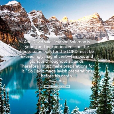 Picture 05 - 1 Chronicles 22:5 BSB - And David said, “My son Solomon is young and - Bible Verse Picture